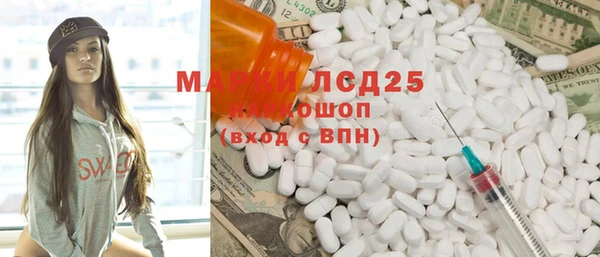 ПСИЛОЦИБИНОВЫЕ ГРИБЫ Туринск